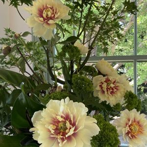 花のある暮らし,お出かけ先の画像