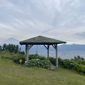 紫陽花,花のある暮らし,植中毒,お出かけ先の画像