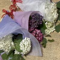 ペチュニア,アナベル,ロココ,八重咲きペチュニア,ペチュニアVIVAトゥルーブルーの画像