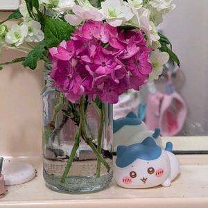 部屋の画像