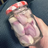 わけぎ,家庭菜園の画像