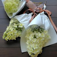 カシワバアジサイ,花束,紫陽花 アジサイ あじさい,小さな幸せ♡,紫陽花のおまじないの画像