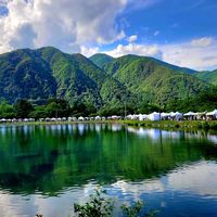 ホタルブクロ,高山植物,フウロウ,ホソバヤマブキソウ,山野草の画像