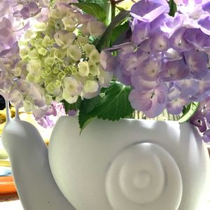 小さな花,紫陽花 アジサイ あじさい,ありがとう♡,カタツムリ,放ったらかし隊の画像