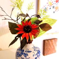エキナセア,可愛い,庭の花,癒し,花のある暮らしの画像