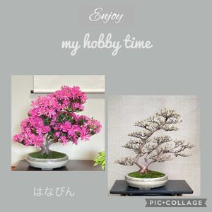 はなびん,盆栽,サツキ盆栽,剪定の画像