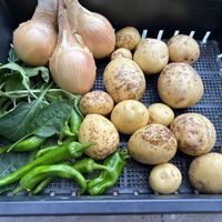 季節の野菜,いつも見てくださってありがとう(๑>◡<๑),まだまだちっちゃな野菜達,じゃがバター美味しかったな,家庭菜園の画像