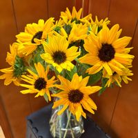 ヒマワリ,no green no life,お花のある暮らし,flower_is,お花の宅配便の画像