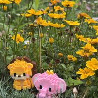 ビデンス,ビデンス,ロベリア,超巨大輪マツバボタン,花のある暮らしの画像