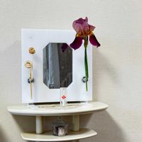 ジャーマンアイリス（独逸菖蒲）,花言葉,花のある暮らし,誕生花,GS映えの画像