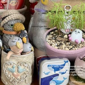 コキア,寄せ植え,セダム属,ネックレスの日,毎月8日は鉢の日の画像