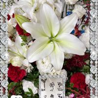 ユリ,コラージュ,今日のお花,駅構内のお花シリーズ,コラージュ仲間達の画像