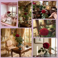 バラ　ルイスキャロル,バラ　ルイスキャロル,バラを楽しむ,バラを飾る暮らし,大好きな薔薇♡の画像