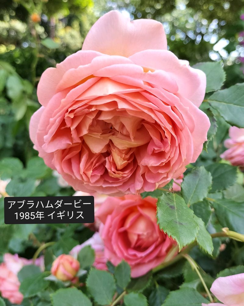 1749152