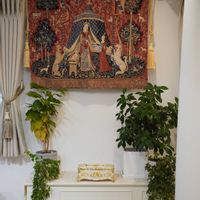 シュガーバイン,コーヒーの木,フィカスプミラ,フィカスナナ,観葉植物の画像