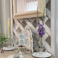 ハタザオキキョウ（旗竿桔梗）,花言葉,花のある暮らし,誕生花,GS映えの画像