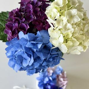 アジサイ,紫陽花,あじさい,リビング,ブーケの画像