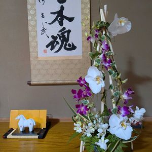 胡蝶蘭,アイビー（ヘデラ）,レザーファン,デンファレ,天草市の画像