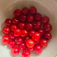 ユスラウメ,ユスラウメ,ナツグミ,ユスラウメの赤い実,夏グミの 実の画像