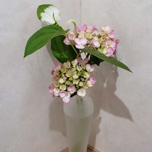 花瓶,花のある暮らし,植物のある暮らし,花瓶の花,花瓶投げ入れの画像