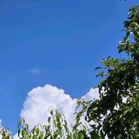 リビング,小さな庭の画像