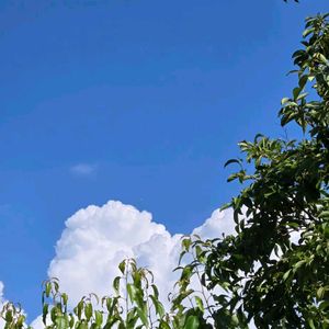 リビング,小さな庭の画像