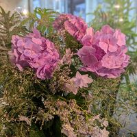 カスミソウ,紫陽花,かすみ草,アジサイ 隅田の花火,アジサイ スプラッシュの画像