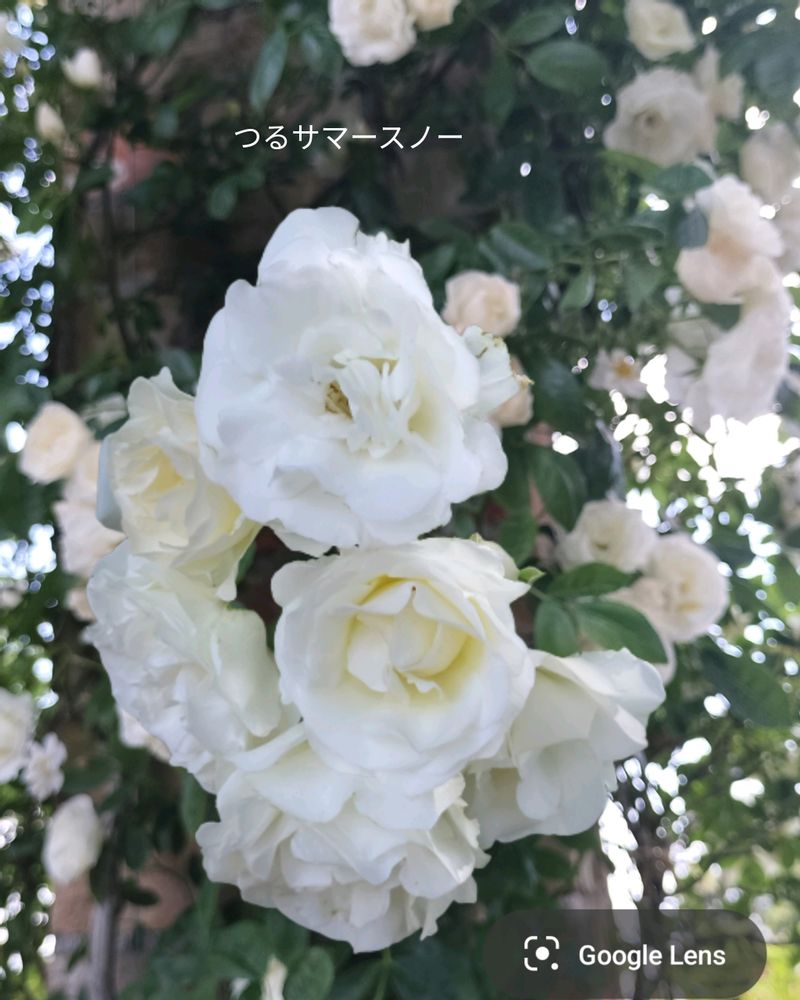 1750023