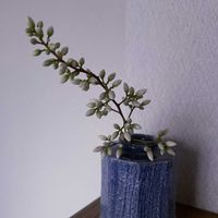 ナンテン,一輪挿し,信楽焼,iPhone撮影,asingleflowervaseの画像