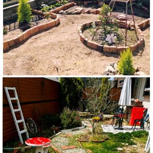 ディゴンドラ,地植え,ガーデニング,ナチュラルガーデン,グランドカバーの画像