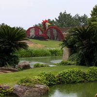 グレビレア,ブラシの木,元気もらえる,GSの皆さんに感謝❣️,国営明石海峡公園の画像