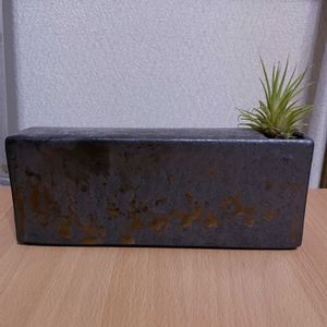 チランジア,エアプランツ,一輪挿し,iPhone撮影,asingleflowervaseの画像