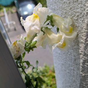 ベランダ,玄関内側の画像