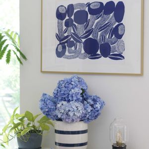 アジサイ,紫陽花,ポトスライム,ポトス・エンジョイ,リビングの画像