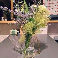 ブーケ,キッチン,リビング・ダイニングの画像