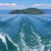 バナナ,バナナ,ビワ,竹生島(ちくぶしま),もちのきの画像