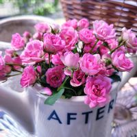 ミニバラ,極小 ミニバラ,ナチュラルガーデン,可愛い〜♡,薔薇に魅せられての画像