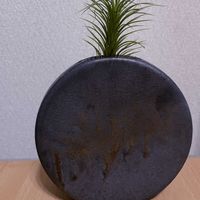 チランジア,エアプランツ,一輪挿し,iPhone撮影,asingleflowervaseの画像