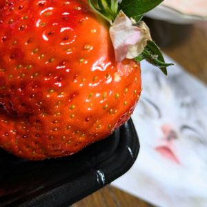 イチゴ,小さな花壇,植物好き,自然の不思議,毎月15日はいちごの日の画像