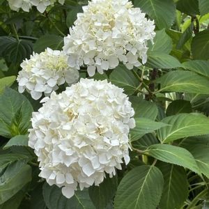 お出かけ先の画像