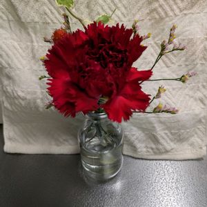 カーネーション,キッチンの画像