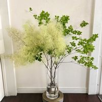 スモークツリー,ドウダンツツジ,ドウダンツツジ,切り花,生花の画像