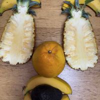 アボカド,パイナップル,バナナ,宇和ゴールド,島パインの画像