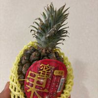パイナップル,植物,植物男子,植物大好き,元気に育ててますよの画像
