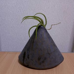 チランジア,エアプランツ,一輪挿し,iPhone撮影,asingleflowervaseの画像