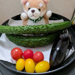 トケイソウ,ビオラ,プランター育ち野菜の収穫,コンスタンスエリオット33輪〜35輪目,トケイソウ親株74輪〜79輪目の画像