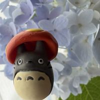 ザクロ,レモン,カタバミ,ラッキークローバー,モンカタバミの画像