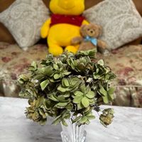 アジサイドライフラワー,アジサイドライフラワー,アジサイ ひな祭り,紫陽花　ひな祭りの画像