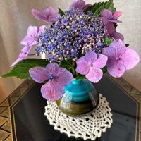 地植え,ガーデニング,一輪挿し,花瓶,花のある暮らしの画像