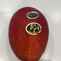 マンゴー,太陽のたまごの画像